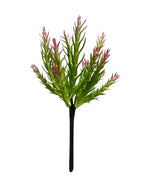 suc 21cm succulent green red 2
