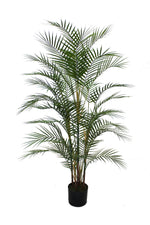 4ft palm tree 120cm