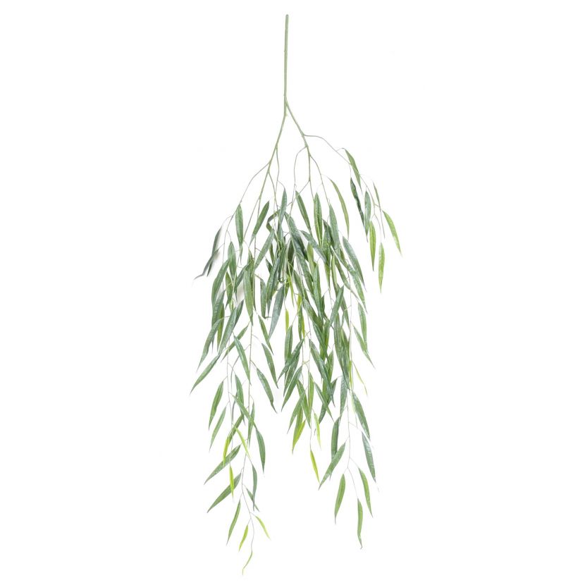 willow spray green