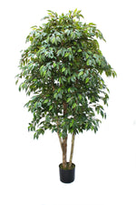 6ft ficus mini leaf green