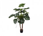 4ft monstera plant 130cm