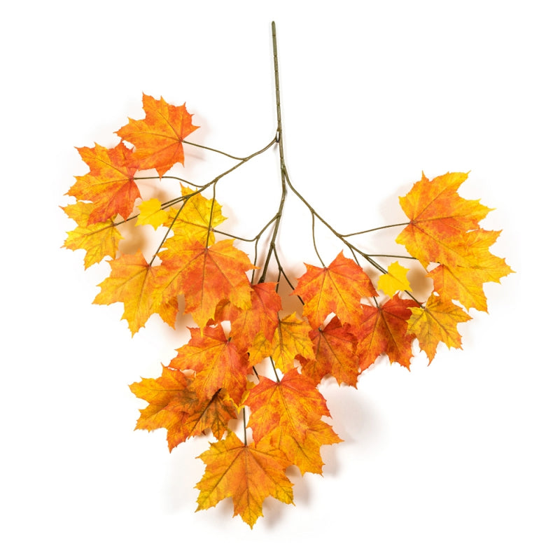 maple leaf spray