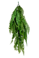 uv persian fern hanging 75cm