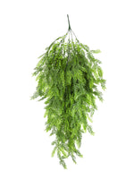 uv trumpet fern creeper 106cm hanging