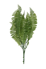 uv fern nephrolepis 25-32cm