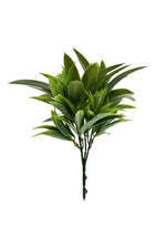 uv agave prodocarpus 25-32cm