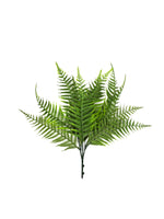 uv fern parthelyptris 25-32cm