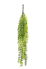 uv black locust 60-75cm hanging