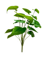 calla lillybunch x18 lvs 46cm