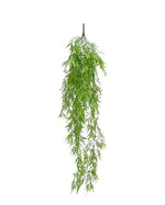 bamboo hang bush x10