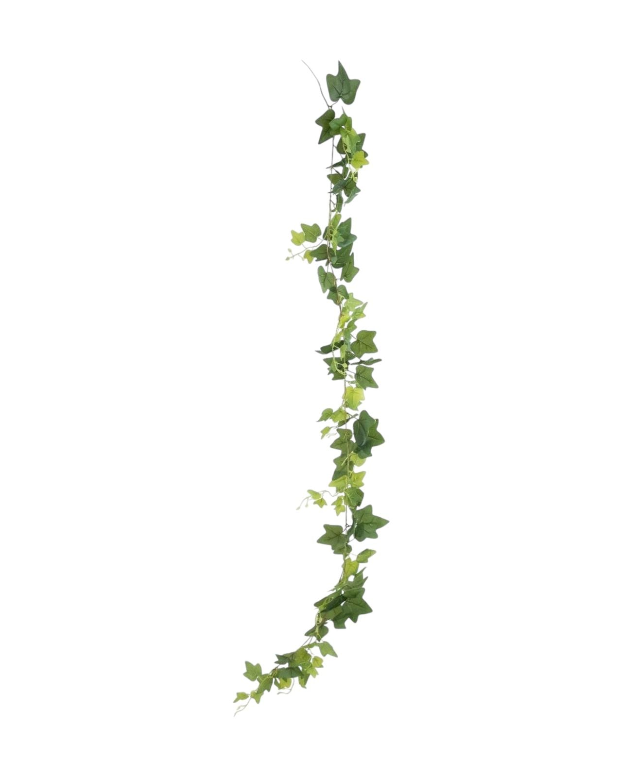ivy 190 cm hanging verigated