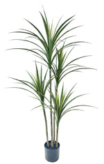 4ft yucca tree 88lvs