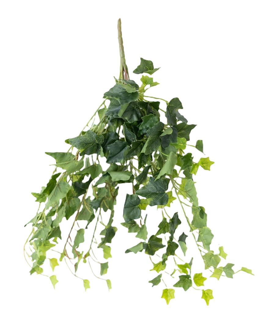 ivy 58cm hanging x12