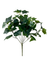 ivy 41cm 50lvs