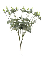 eucalyptus tf bush 60cm 132lvs