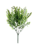 fern boston x6 41cm