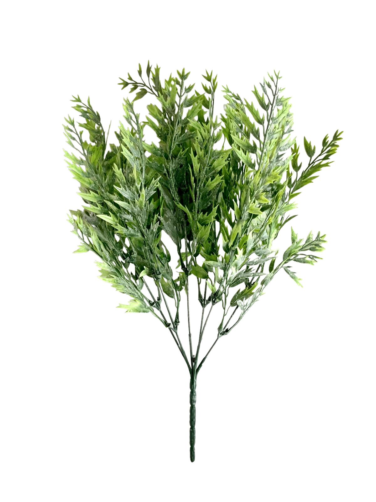 fern boston x6 41cm