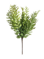 fern bush 43cm