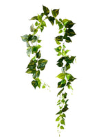 pothos vine 180cm rt