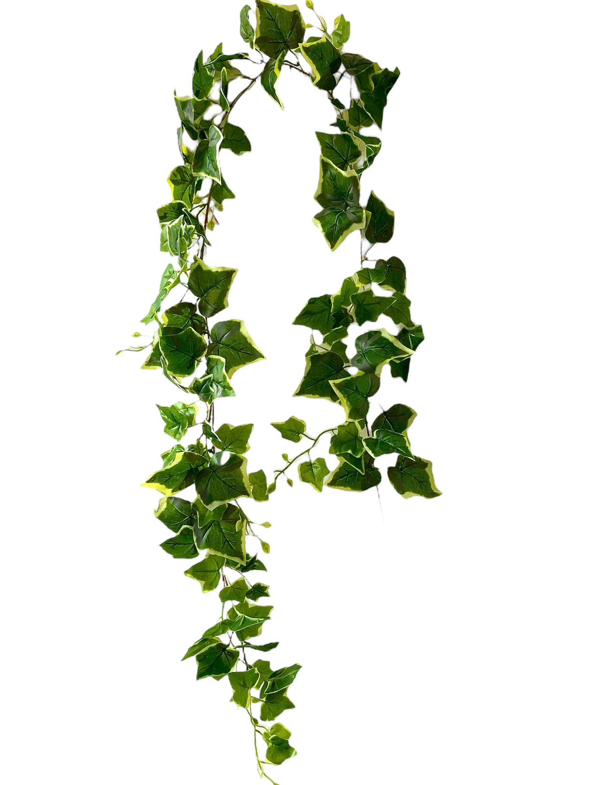 ivy 190 cm hanging verigated