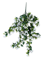bouganvilla uv lrg bush