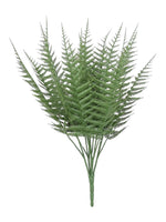 uv 37cm boston fern