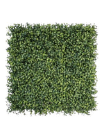 boxwood verigated mat 50 x 50