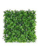 mixed greenery 50x50