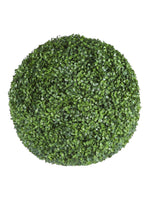 boxwood uv ball