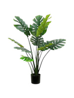4 ft split philodendron tree 11lvs