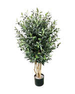 4ft olive tree 120cm