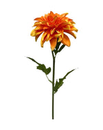 dahlia single 75cm