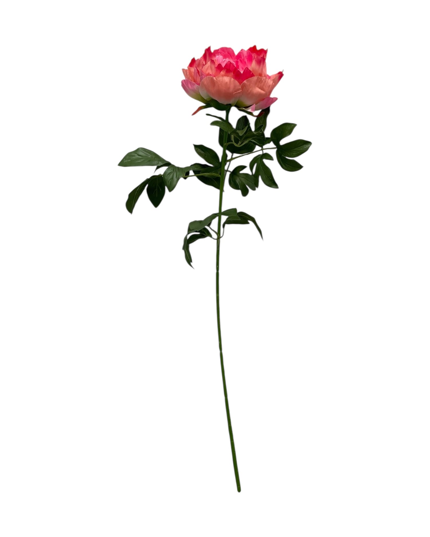 peony 83cm