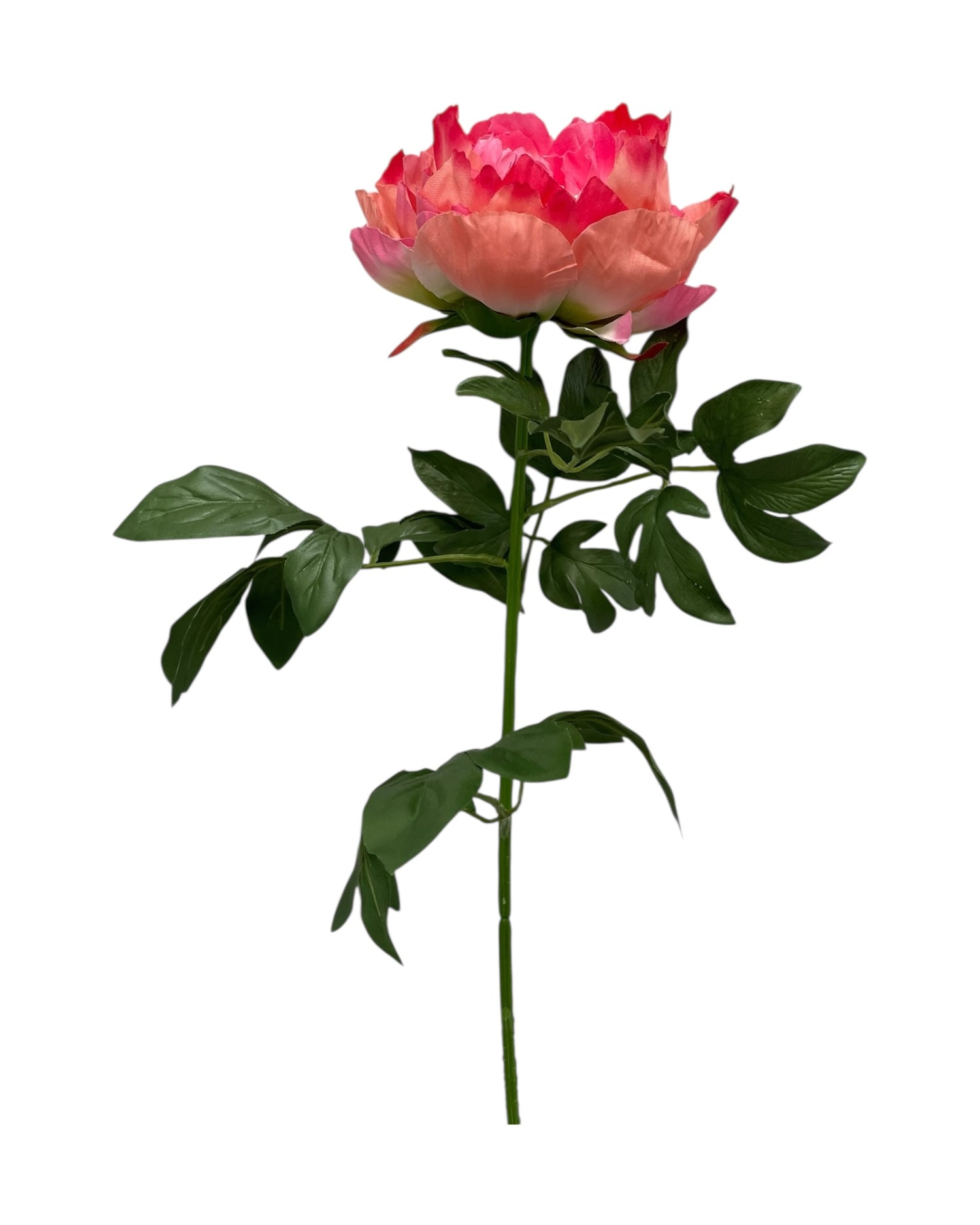 peony 83cm