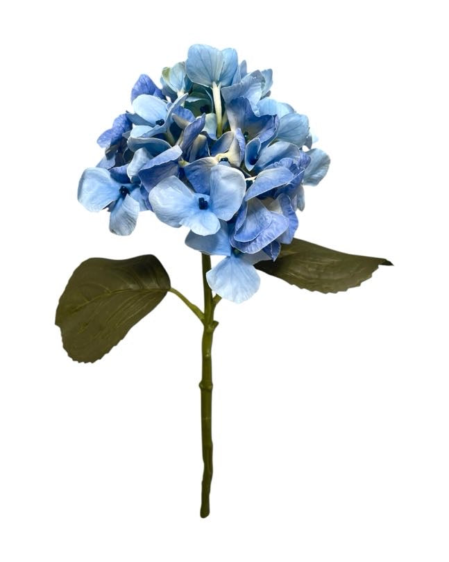 hydrangea small