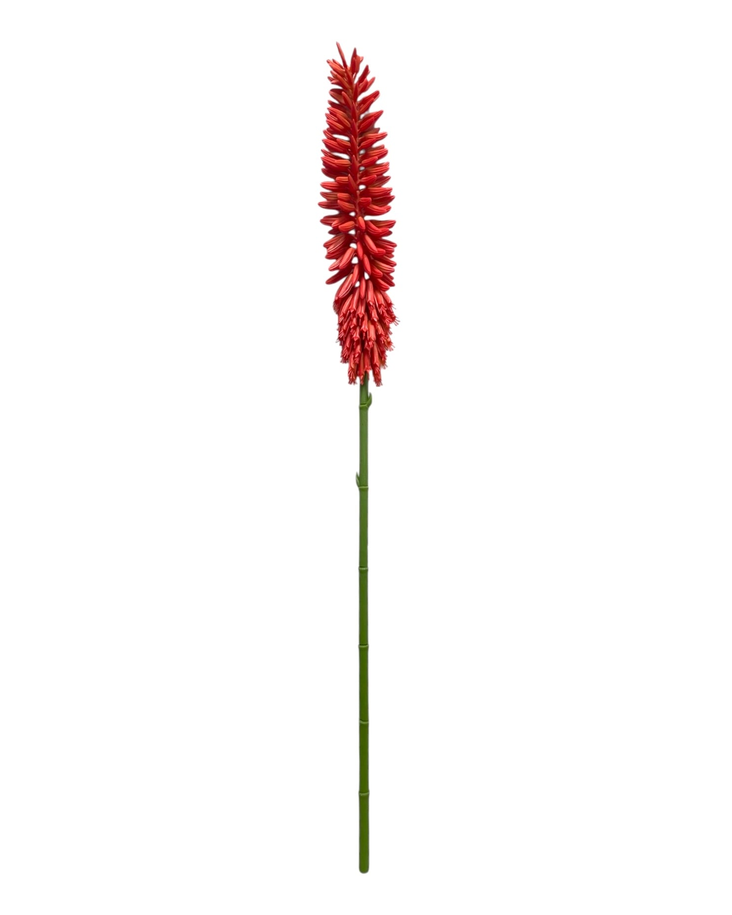 aloe flower 30''