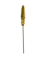 aloe flower 30''