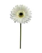 gerbera 50cm