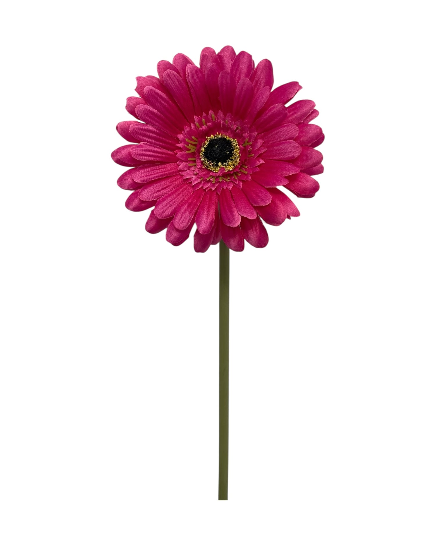 gerbera 50cm