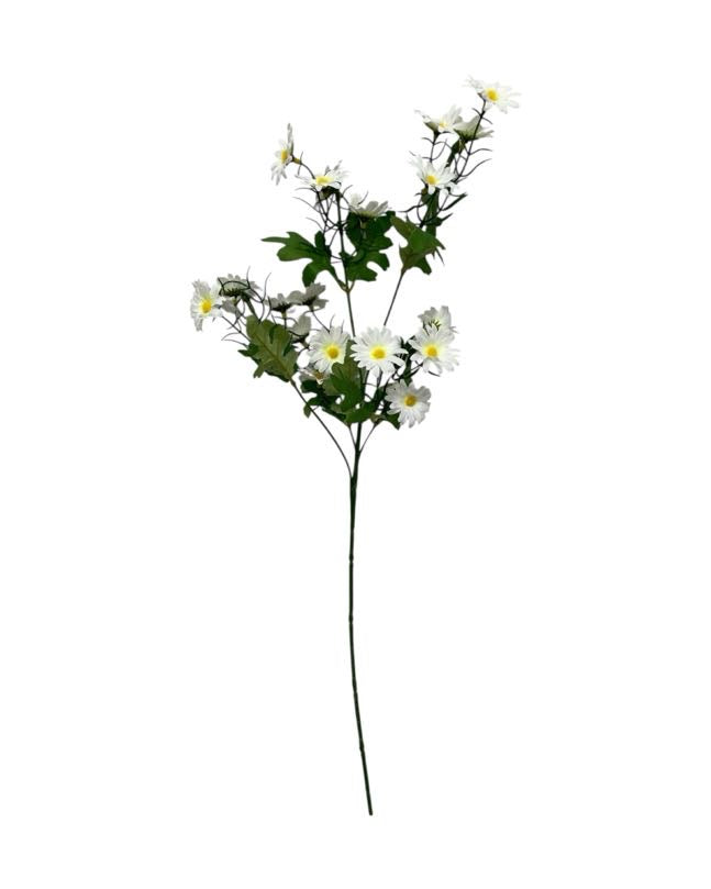 daisy stem 70cm