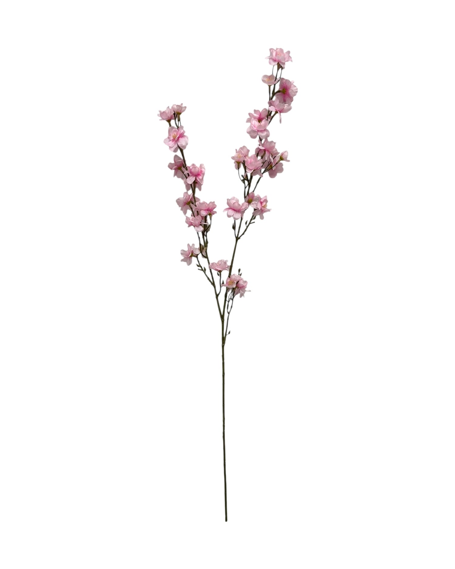 cherry blossom 87cm
