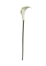 calla lilly single white 63cm