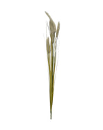 onion grass foxtail 92cm