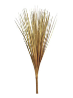 onion grass 65cm