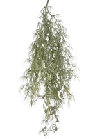 airplant vine 85cm