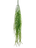 leek vine x6 102 cm