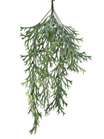 staghorn vine x9 73cm