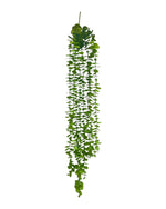 eucalyptus hanging vine x8-81cm