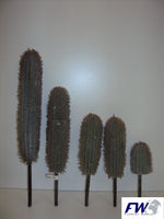 cactus finger x5