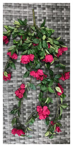 bougainvillea bush 28''